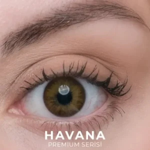 Labella Premium Aylık Havana