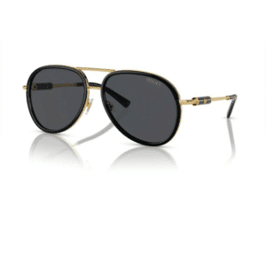 Versace Güneş Gözlüğü VE2260 60 100287