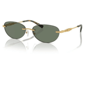 Michael Kors Güneş Gözlüğü MK1151 58 18963H